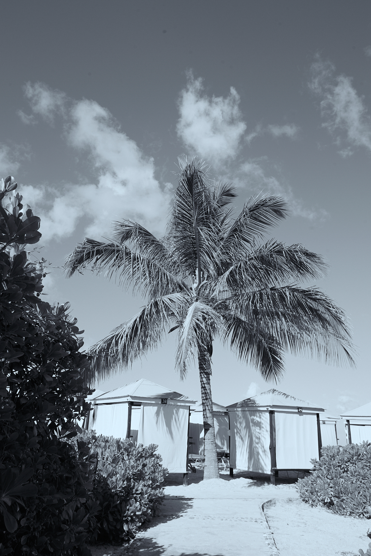 Keyonna Beach Bali Bed Black and White